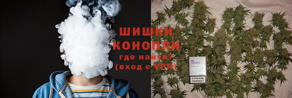 молекула духа Алзамай