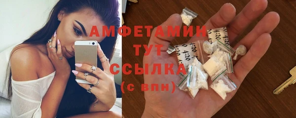 молекула духа Алзамай
