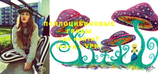 молекула духа Алзамай