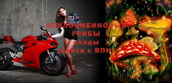 a pvp Алексин