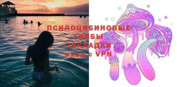 молекула духа Алзамай