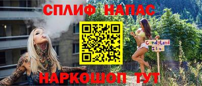 СК Владивосток