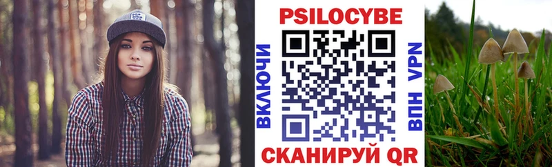 купить закладку  Апшеронск  Псилоцибиновые грибы прущие грибы 
